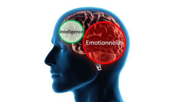 Intelligence émotionnelle